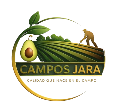 Campos Jara - Productor de Palta